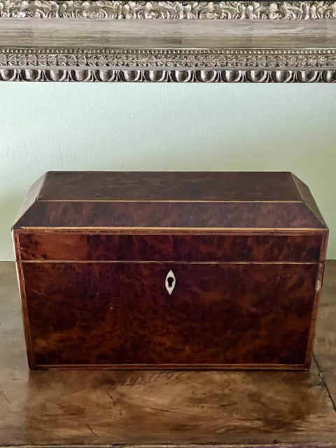 Large Antique Burr Walnut Tea Caddy 2