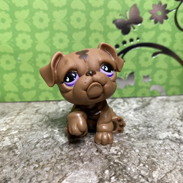 Hasbro Littlest Pet Shop #881 Bulldog Dog Brown Purple Teardrop Eyes LPS Hasbro Littlest Pet Shop #881 Bulldog Dog Brown Purple Teardrop Eyes LPS