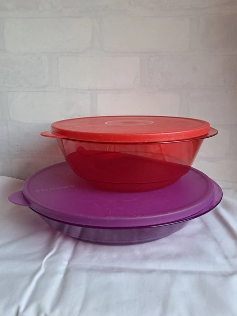 Tupperware Thermo-Duo Lot de 2 bols de maintien au chaud 1,5 l Gris/blanc + cuillère de service