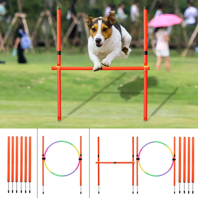 Agility Dog Trainings Set X Túnel Salto Obstáculos Barras Slalom para Perros