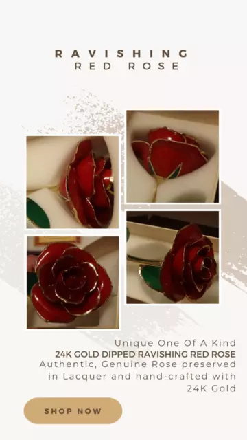 24k Gold Dipped Ravishing Red Rose COA SGS Test Certified See Video 1 OF A KIND