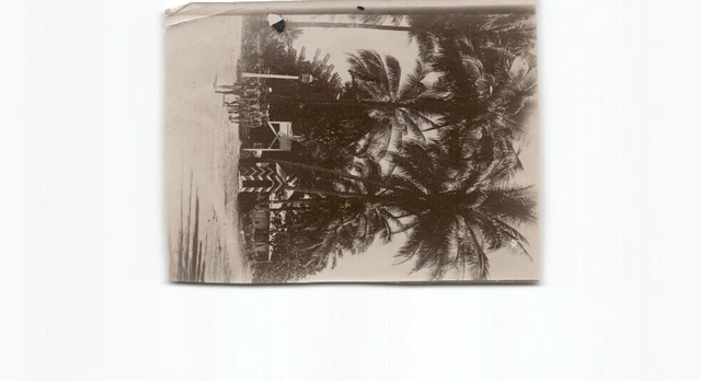 (n14334)   Deutschneuguinea Photo Polizeistation, davor Straßenlaterne und