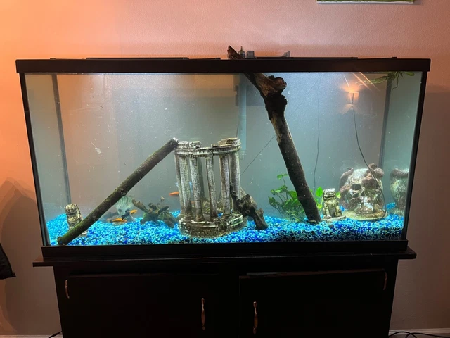 60 Gallon Fish Tank (with complete set-up)