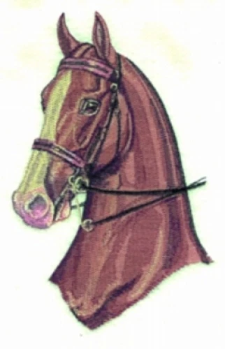Embroidered Sweatshirt - Three Gaited Horse BT2715 Sizes S - XXL