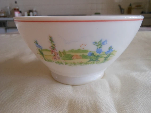 3 Bols Vintage Arcopal Veronica Myosotis - Arts de la table