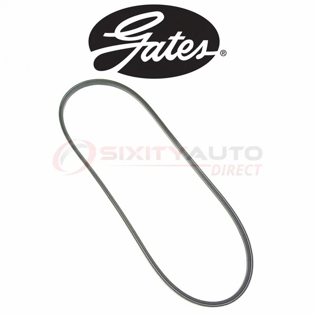 Gates 5725 Accessory Drive Belt for GT5725 5441 5725 Accessory Alternator wy