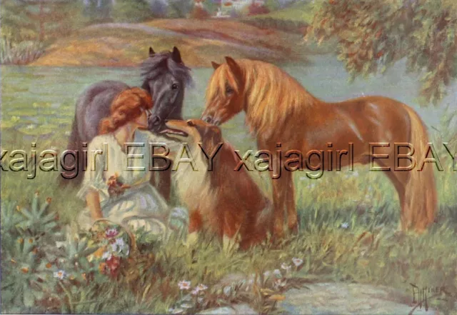 DOG Collie & HORSE Shetland Pony, Beautiful Vintage Print Showcasing Farm Life