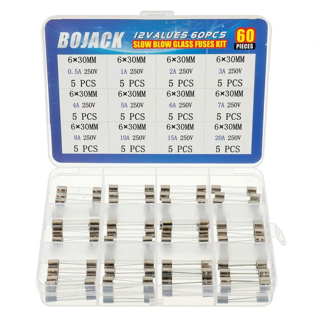 BOJACK 12 Valeurs 60 Pièces Kit d'assortiment de fusibles en verre à fusion...