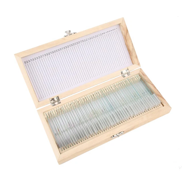 50 Pcs Prepared Slide With Wooden Box Biology Glass Prepared Microscope Slides