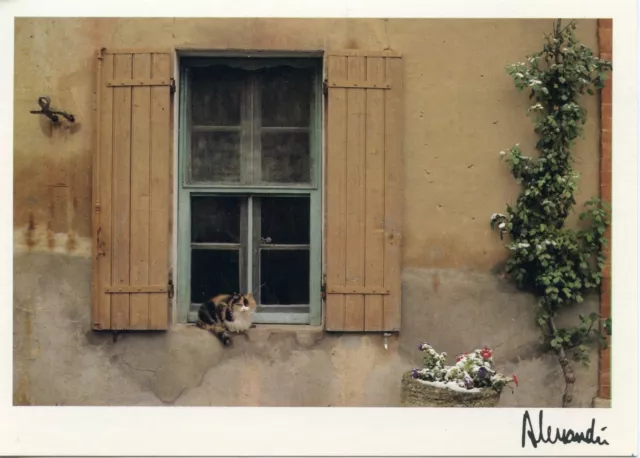Cpsm / Carte Postale / Chat / Cat / Illustrateur Alessandri Moi Froid ? Jamais