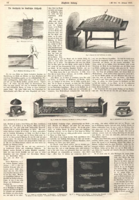 Fischer-Fischen "Fortschritte der künstlichen Fischzucht" Orig. Holzstich v.1856