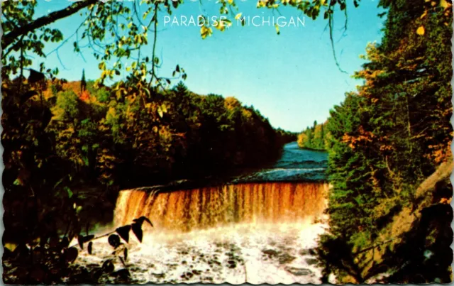 Upper Peninsula Tahquamenon River Falls Michigan MI UNP Chrome Postcard D14