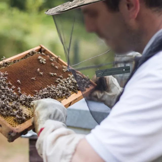 Pratico cappello velo apicoltore il tuo attrezzo essenziale per apicoltura