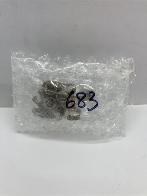 Vintage Brass Eagle Hook Wingspan Small Size Mixed Metal Lot Of 2 / 1-3/4”x1-1/8 10