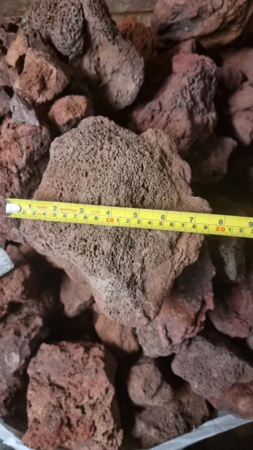 XL (20cm) Volcanic Lava Rocks (Black or Red) for Bonsai & Aquascape