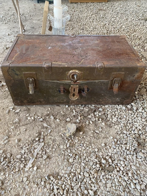 trunk