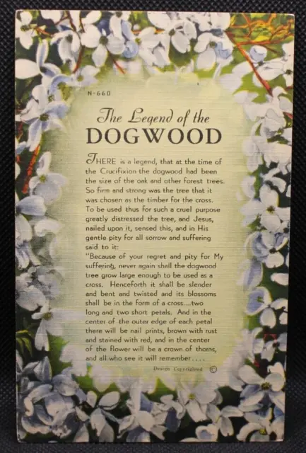 Legend of the Dogwood Tree Blossoms Artwork Vintage Postcard 5.5x3.5" Religious
