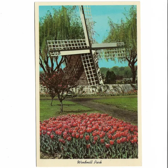 Windmill Park Holland Michigan - Tulip Time - Vintage 1962 Postcard - PC961