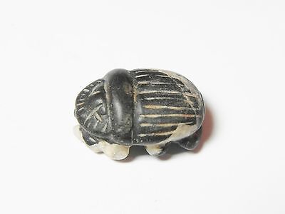 Zurqieh - Ancient Egypt , Choice Stone Button Scarab. 600 - 300 B.c