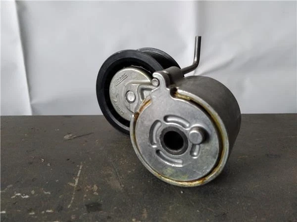 galet tendeur AUDI A8 (4HC 4HL) 3.0 TFSI QUATTRO 51333 2