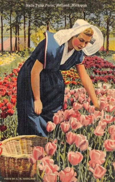HOLLAND, MI Michigan  NELIS TULIP FARM~Pretty Dutch Women  c1940's Postcard