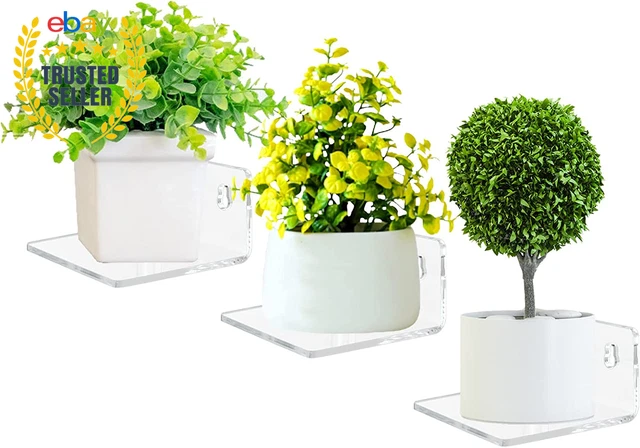 Acrylic Small Floating Shelves for Wall, 3-Ledges, Clear Mini Display Floating S
