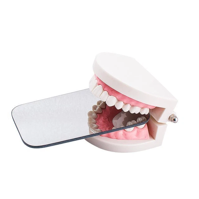 Durable Photo Glass Mirror for Dental Procedures with Rhodium Occlusal