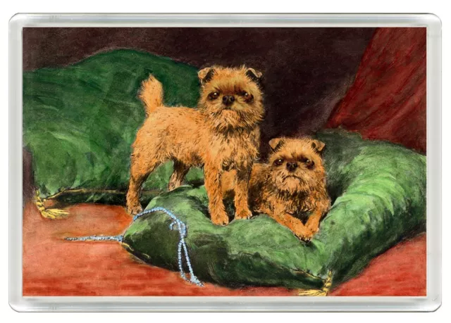 Brussels Griffon Dogs Dog Art Print Novelty Fridge Magnet   Great Gift