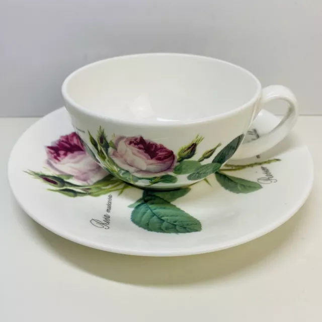 Roy Kirkham Redoute Roses Cup And Saucer