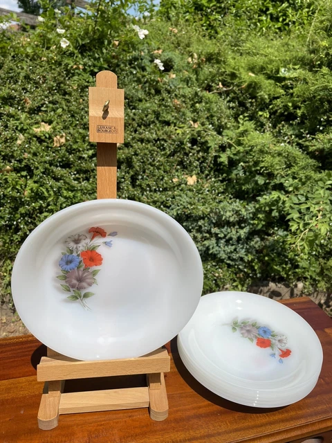 ARCOPAL Scania collection 6 assiettes creuses - design vintage années 70 Fabriqué en France - Canada