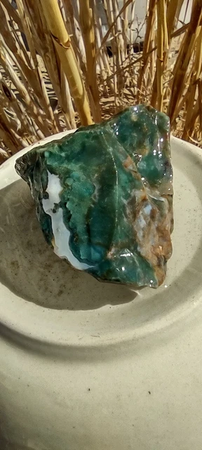Lapidary Green Jasper Chalcedony Color Extravaganza Rough