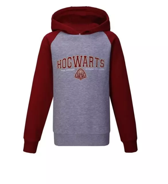 Sweat à capuche Harry Potter garçon officiel Marvel du 2 au 12 ans