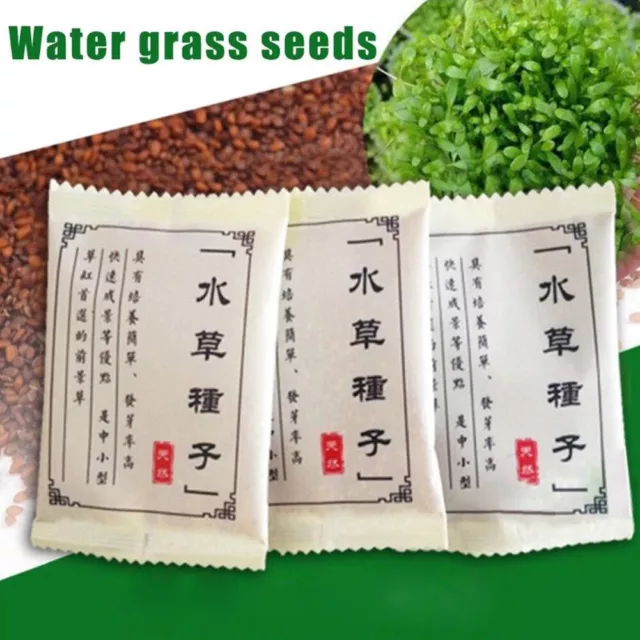 Plant Seed Fish Tank Aquarium Aquatic Water Grass Decor Garden Foreground Plant⊹