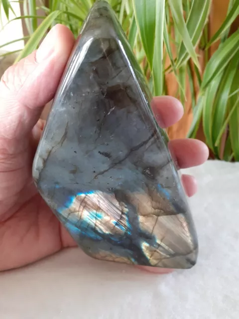 Large Labradorite Freeform Irridescent Feldspar Crystal Mineral(937g)90x135mm