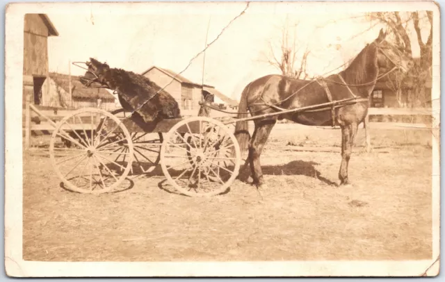 Vintage Postcard Horse Pulling A Cart With Injured Beast Real Photo Rppc Creases