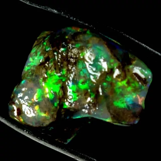 05.60 Cts. 100% Natural Ethiopian Welo Fire Opal Rough Cabochon Loose Gemstone