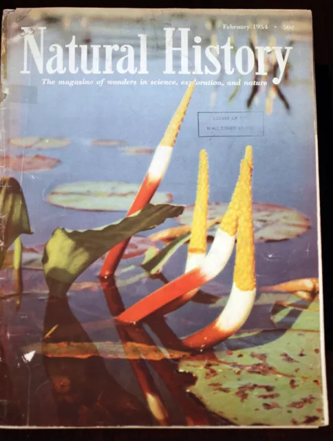 Walt Disney Studio Library Natural History Magazine 1954 Margaret Mead article