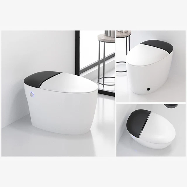 MODERN ELONGATED ONE Piece Smart Toilet Advance Bidet with Soft Closing