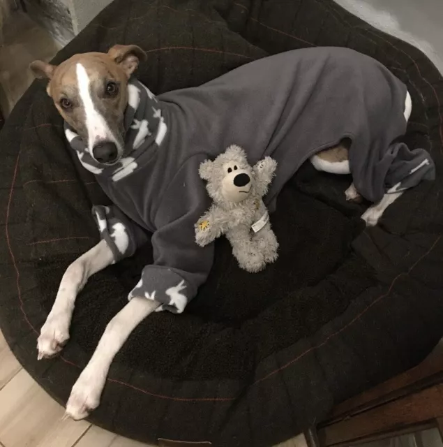 Greyhound Pyjamas,greyhound Clothing,greyhound,dog Pyjamas,whippet Clothing