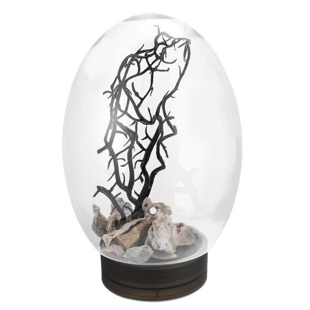 Aquatic Ecosphere Aquarium Starter Kits Desktop Fish Tank Small Terrarium Plant