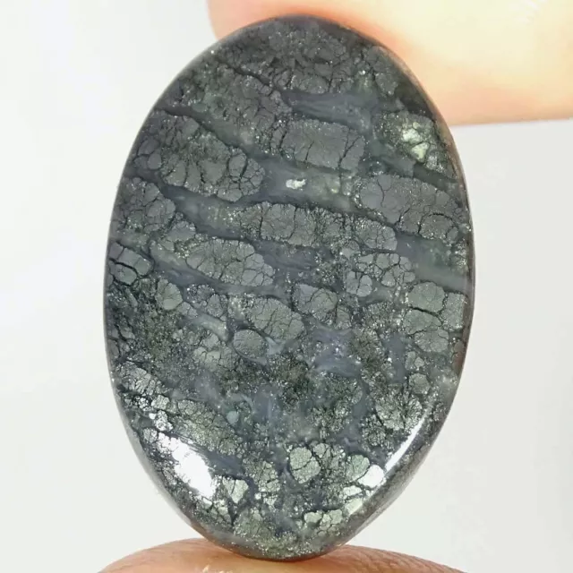 40.40Cts Natural Marcasite Oval Cabochon Loose Gemstones