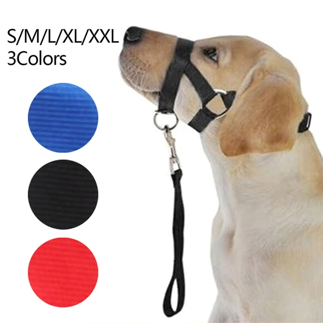 Juego de tracción boca de mascota con correa de boca de perro Hal oSSJUK_JO