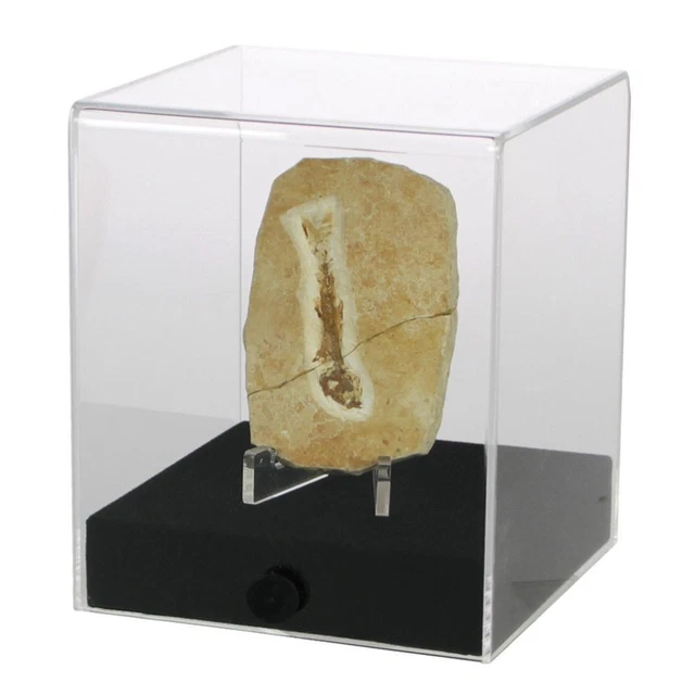 Präsentationscube.Aus hochwertigem Acryl.Format 120 x 120 x 140 mm...