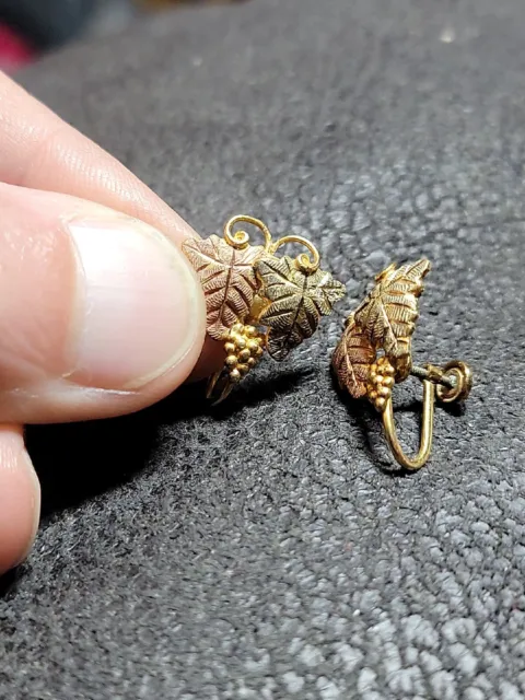 Black Hills 12k Earrings Tri-Color Gold Flower Leaf Grapes 1/20 12k GF Screwback