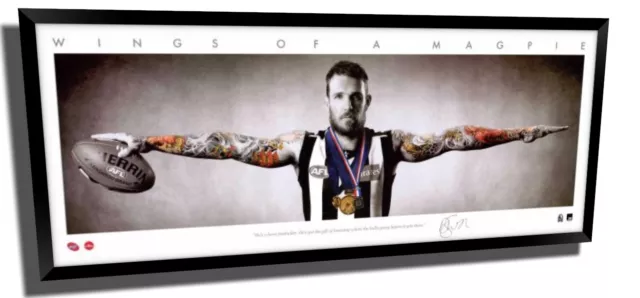 Dane Swan Mini Wings Collingwood Fc Official Afl Print Signed Framed Memorabilia