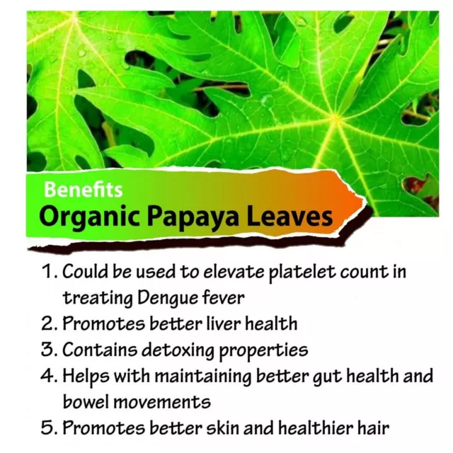 Polvo de hojas de papaya secas orgánicas (Carica papaya) para el té de... 2