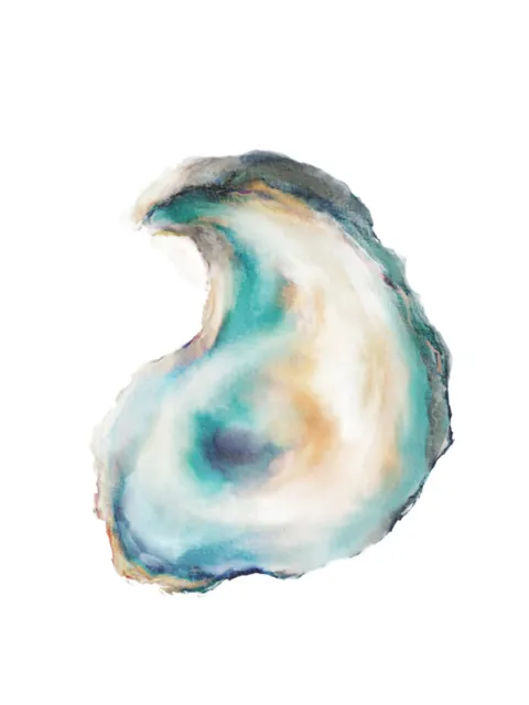 Oyster Watercolor Painting Poster Print, Shell Beach House Decor Coastal Art