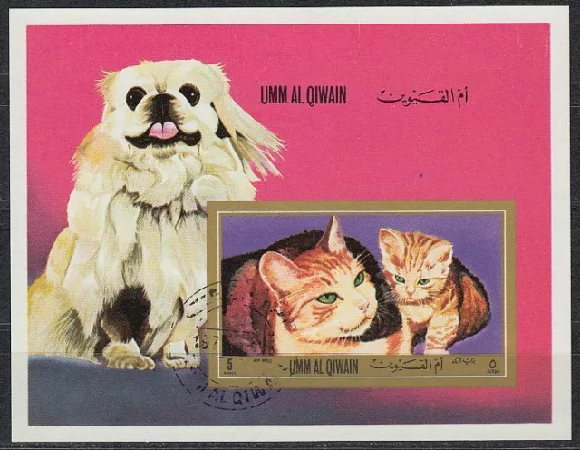 Umm al Qiwain 1972 d'occasion Bl.55 chiots chats chats animaux animaux de compagnie