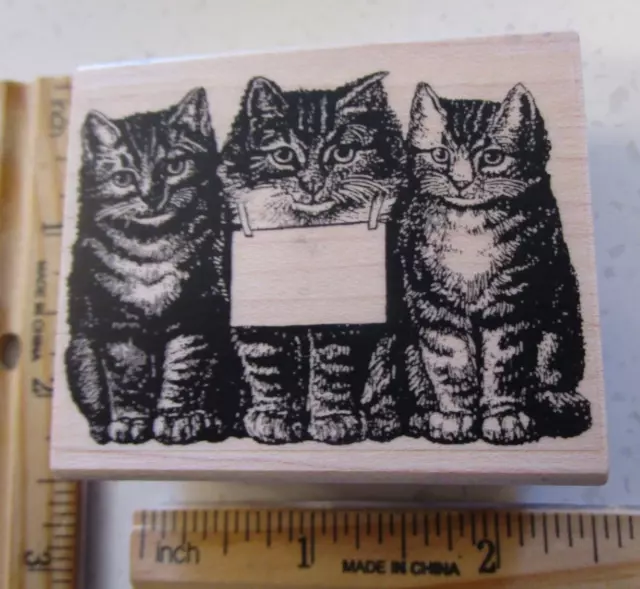 Cat Bookplate Mw Rubber Stamp- Picture Show