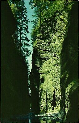 Oneonta Gorge, Oregon, Famous Sights On The Scenic Columbia River Postcard